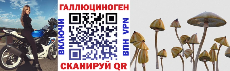 Псилоцибиновые грибы Psilocybe  Бокситогорск 